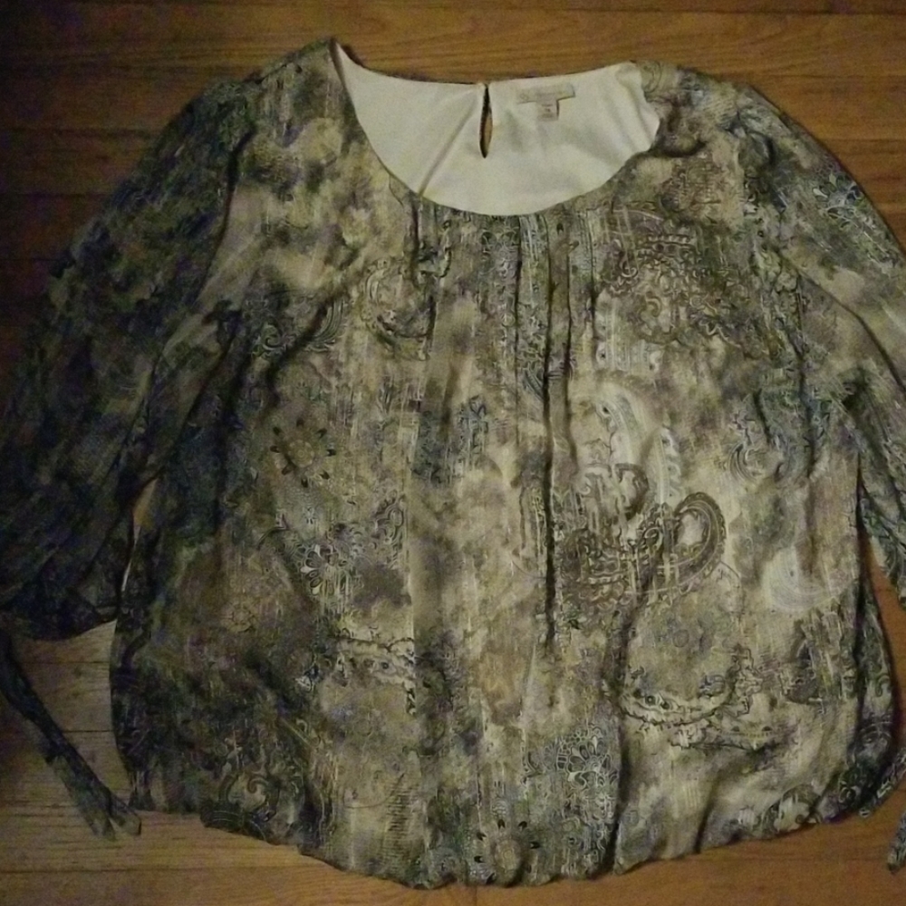Christopher Banks blouse (3X)